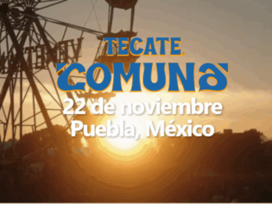 tectae portada